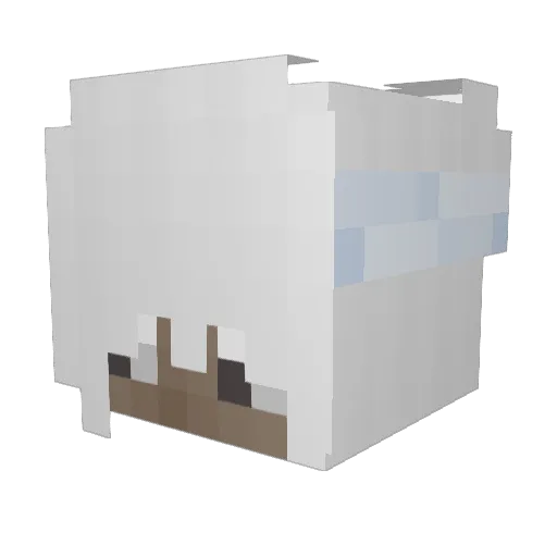 zayusa Minecraft avatar head, 3D render