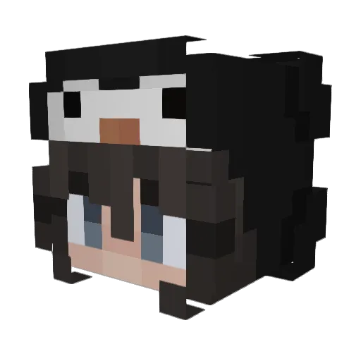 zayzels Minecraft avatar head, 3D render
