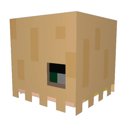 zazafunboy Minecraft avatar head, 3D render