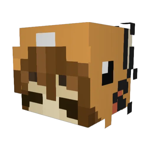 zb1ricky_ Minecraft avatar head, 3D render
