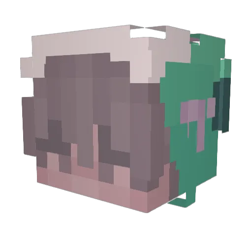 zbassmn Minecraft avatar head, 3D render