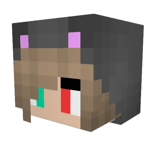 zbj Minecraft avatar head, 3D render