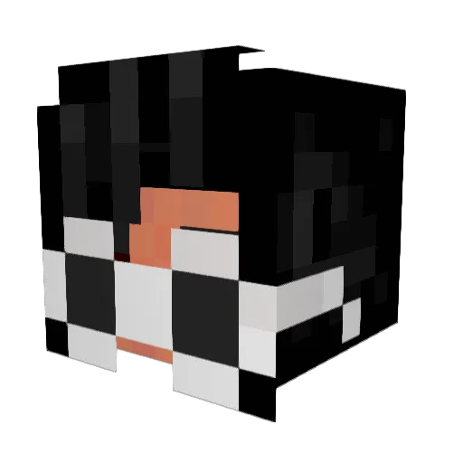 zblagh Minecraft avatar head, 3D render