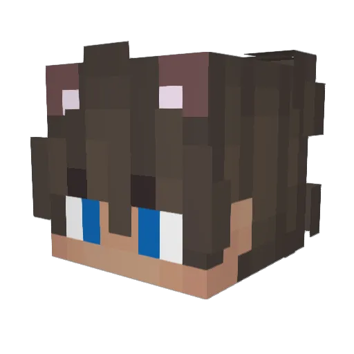 Minecraft-Avatar von zblikai: Kopf als 3D-Render