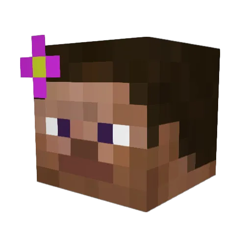 zbp Minecraft avatar head, 3D render