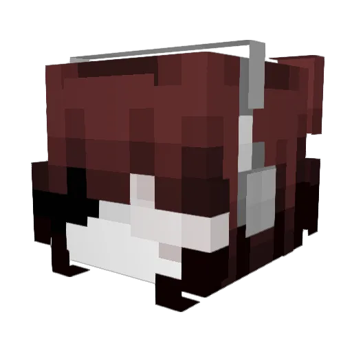 zbsonaniko Minecraft avatar head, 3D render