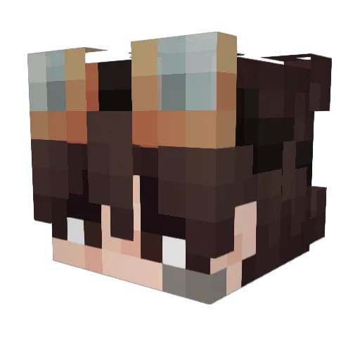 zcat10897 Minecraft avatar head, 3D render