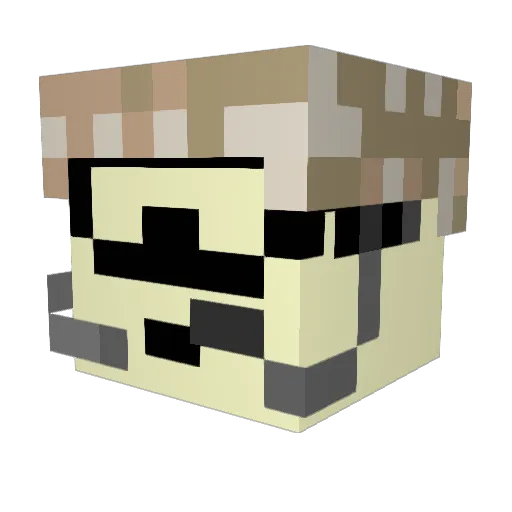 zccca Minecraft avatar head, 3D render