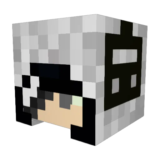 zdfghjk Minecraft avatar head, 3D render