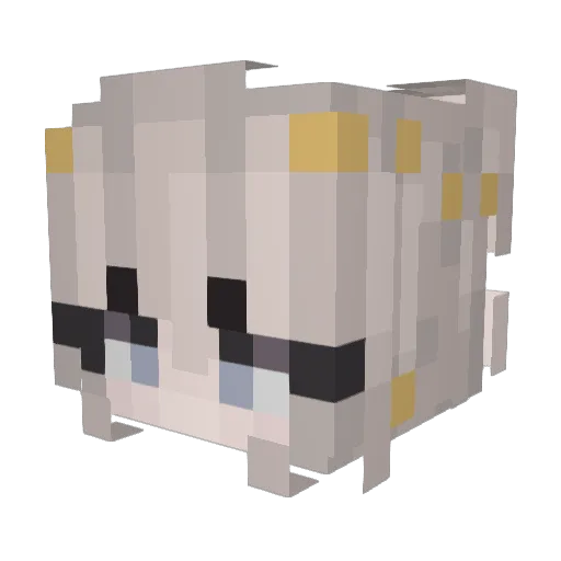 zdrowko Minecraft avatar head, 3D render