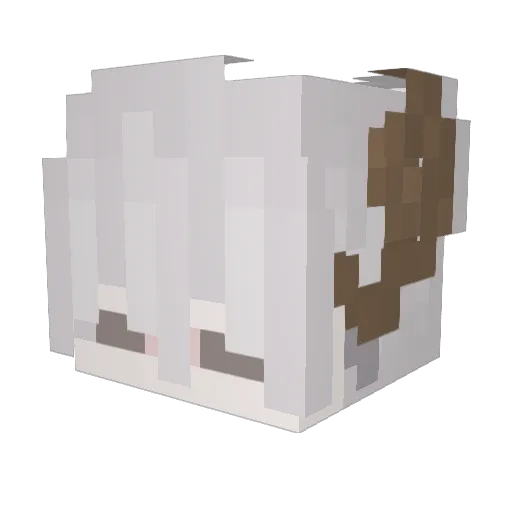 ze0Soup Minecraft avatar head, 3D render