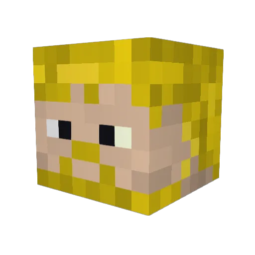 ze_shadow98 Minecraft avatar head, 3D render