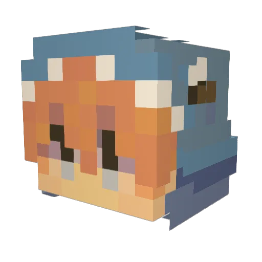 zeb100 Minecraft avatar head, 3D render