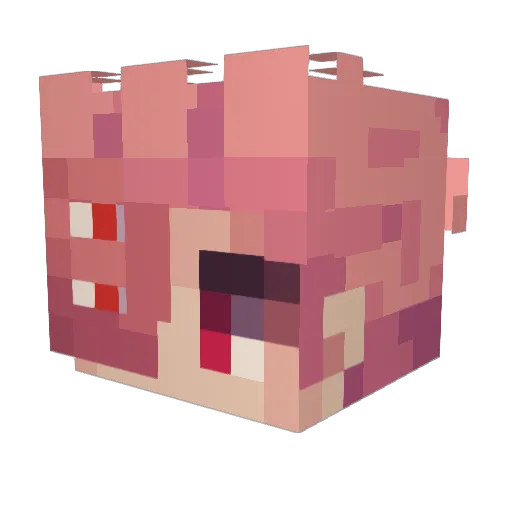 zebblinn Minecraft avatar head, 3D render