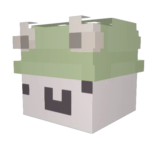 zebbywebbyy Minecraft avatar head, 3D render