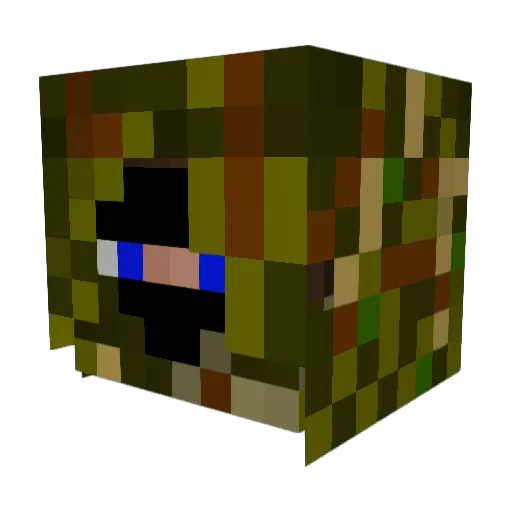 zebest666 Minecraft avatar head, 3D render