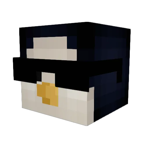 zebidrea Minecraft avatar head, 3D render