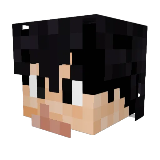 zebongle Minecraft avatar head, 3D render
