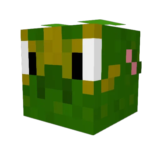 zebraFly Minecraft avatar head, 3D render