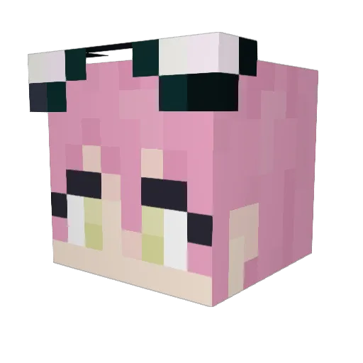 zebrafishcat Minecraft avatar head, 3D render