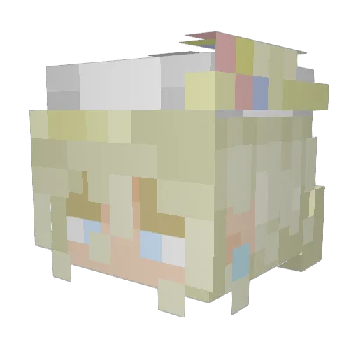 zebrasbepic Minecraft avatar head, 3D render