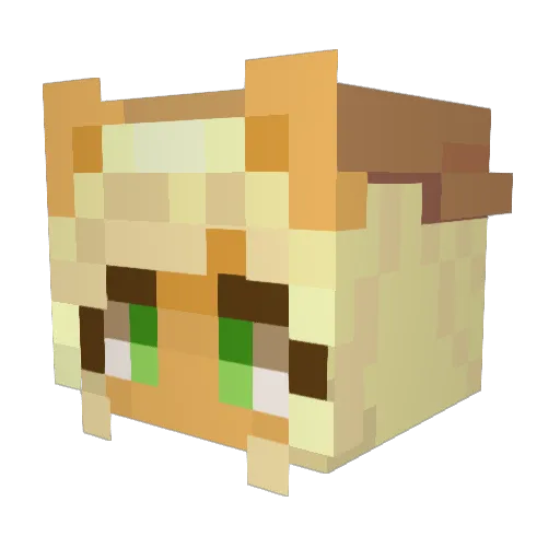 zebratbhV2 Minecraft avatar head, 3D render