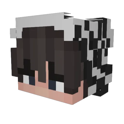 zebrauh Minecraft avatar head, 3D render