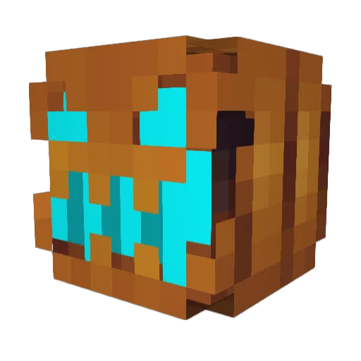 zechy55 Minecraft avatar head, 3D render
