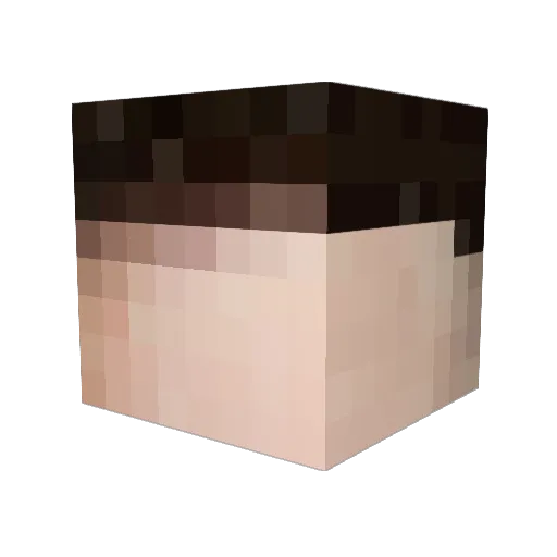 zeckanton Minecraft avatar head, 3D render