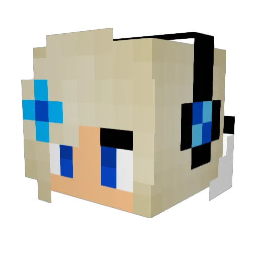 zecora13 Minecraft avatar head, 3D render