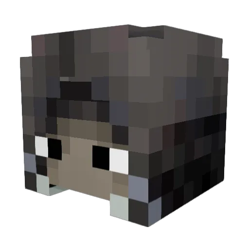 zed313131 Minecraft avatar head, 3D render