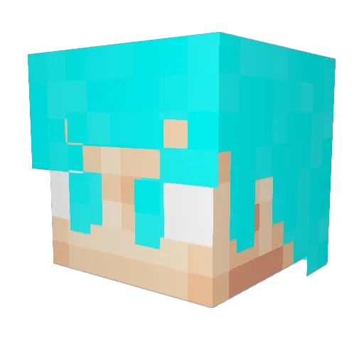 zee2k19 Minecraft avatar head, 3D render