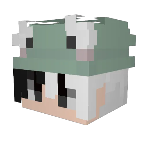 zeeleeuw07 Minecraft avatar head, 3D render