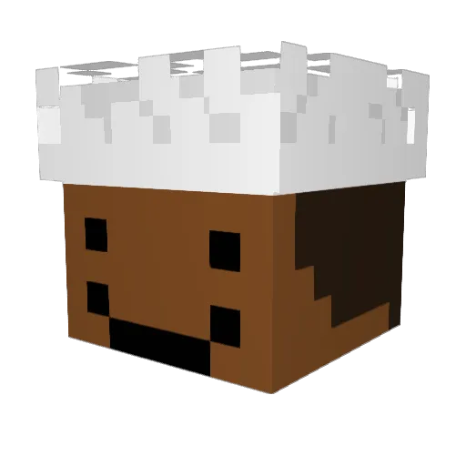 zeem213 Minecraft avatar head, 3D render