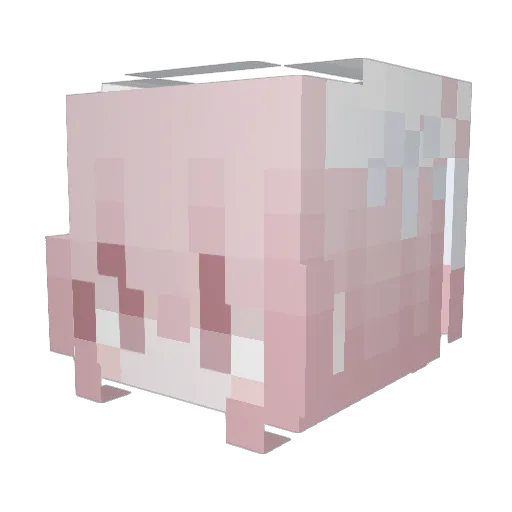 zeenin Minecraft avatar head, 3D render