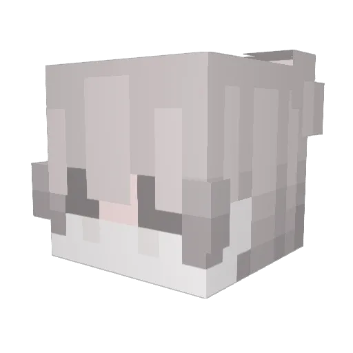 zefarie Minecraft avatar head, 3D render