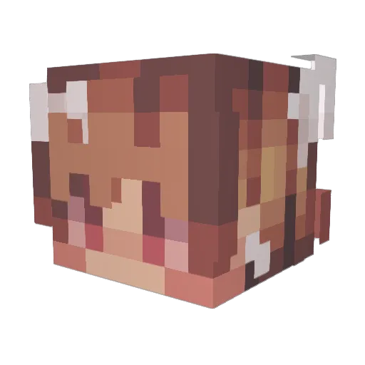 zefirbtw Minecraft avatar head, 3D render