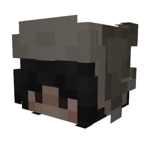 zehngramm Minecraft avatar head, 3D render