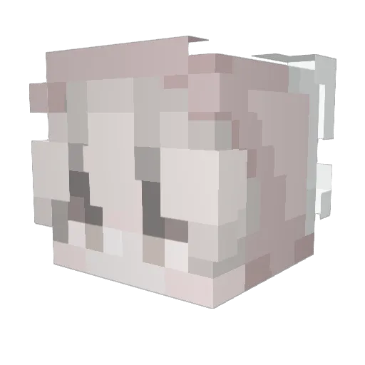 zekoaiden Minecraft avatar head, 3D render