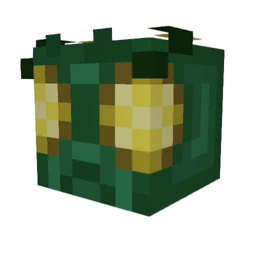 zelafruity Minecraft avatar head, 3D render