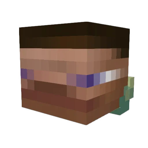 zelchy Minecraft avatar head, 3D render