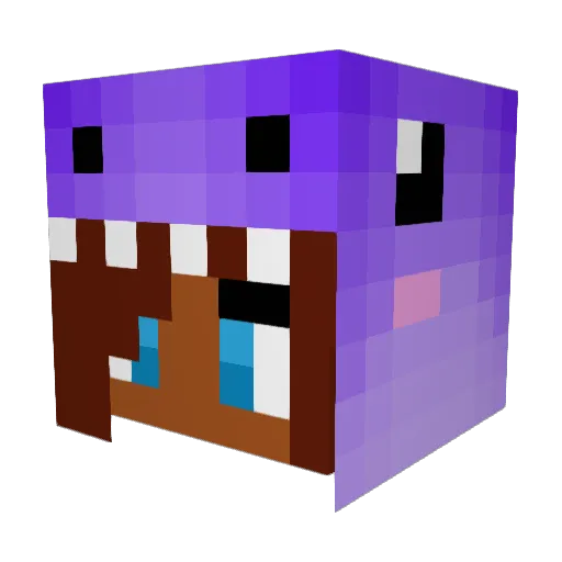 zelda856 Minecraft avatar head, 3D render
