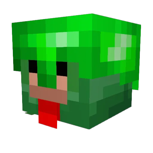 zeldaborg Minecraft avatar head, 3D render