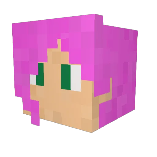 zeldaluvr1 Minecraft avatar head, 3D render