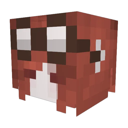 zeldaseraph Minecraft avatar head, 3D render