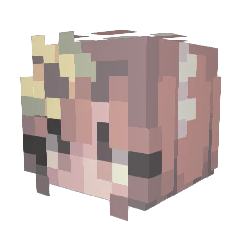 zeldatoonie18 Minecraft avatar head, 3D render