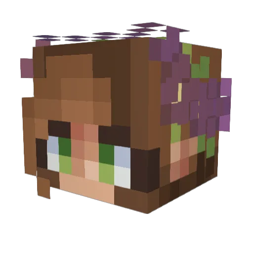zeleancs Minecraft avatar head, 3D render