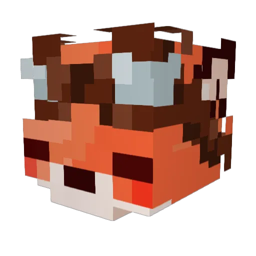 zelens Minecraft avatar head, 3D render