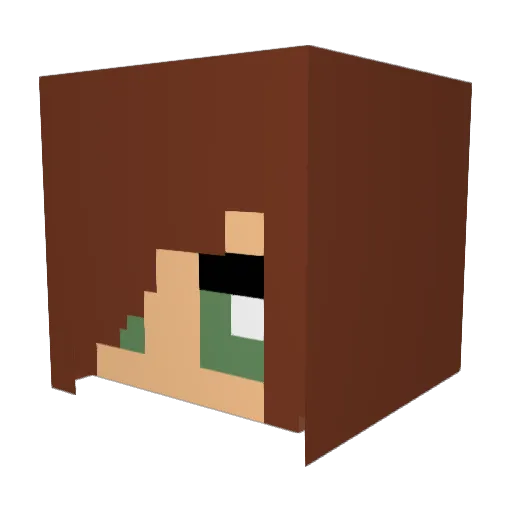 zelinajo Minecraft avatar head, 3D render
