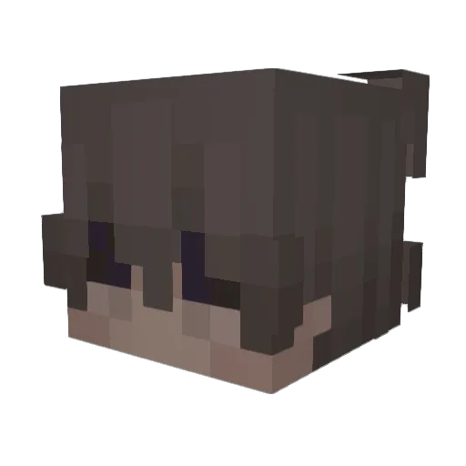 zeljkogruja Minecraft avatar head, 3D render